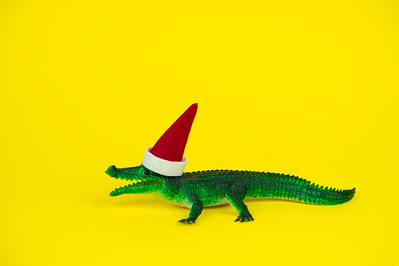 How to write product descriptions